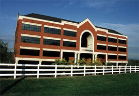 Gaylord
