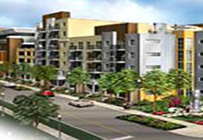 Tampa West